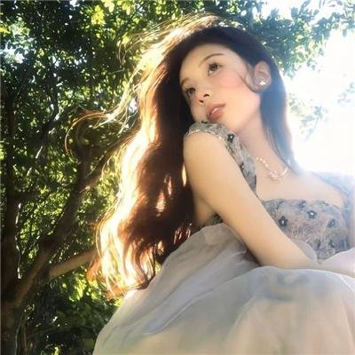 我的铁血金戈梦
