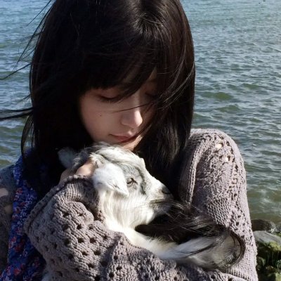 猪猪侠之积木世界的童话